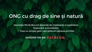 Fundal verde cu frunze, text despre ONG și susținerea financiară.