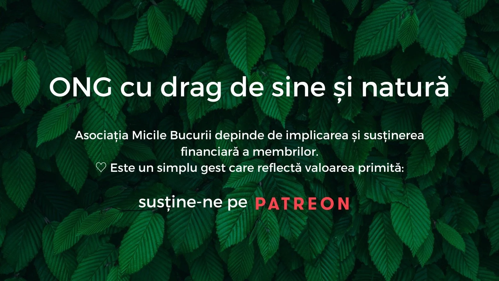 Fundal verde cu frunze, text despre ONG și susținerea financiară.
