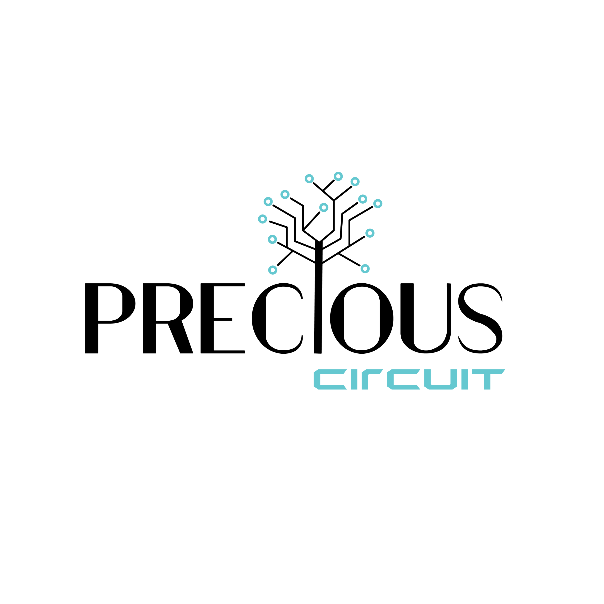 Precious Circuit