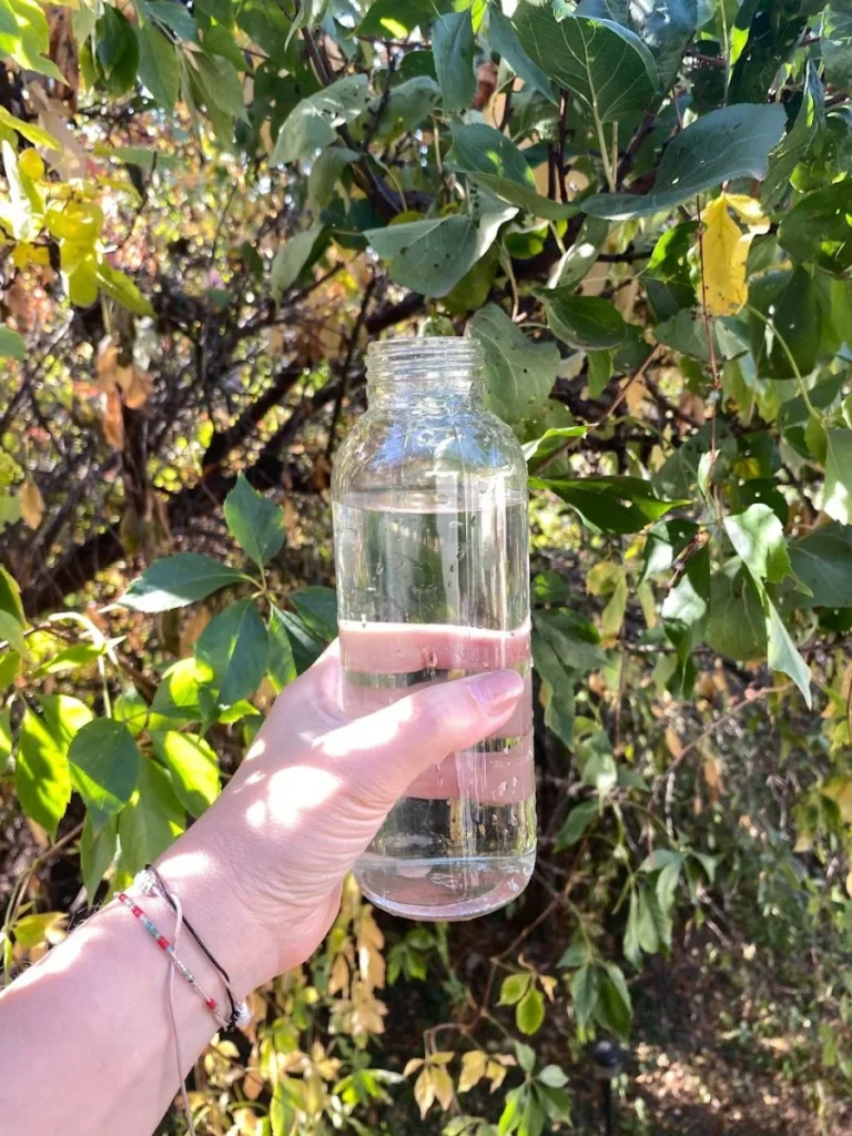 A clear bottle of water held in hand, with a background of green leaves.