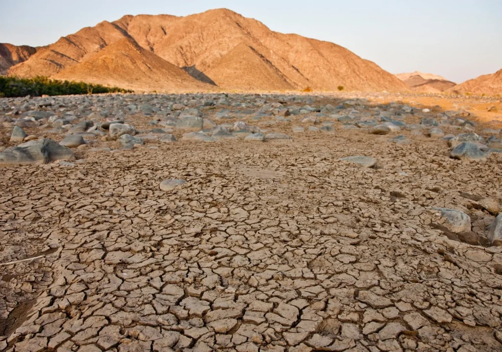 Cracked and dry earth with stones under a clear sky, symbolizing the effects of climate change.