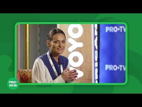 Economia circulara. Definitii, strategie si exemple concrete