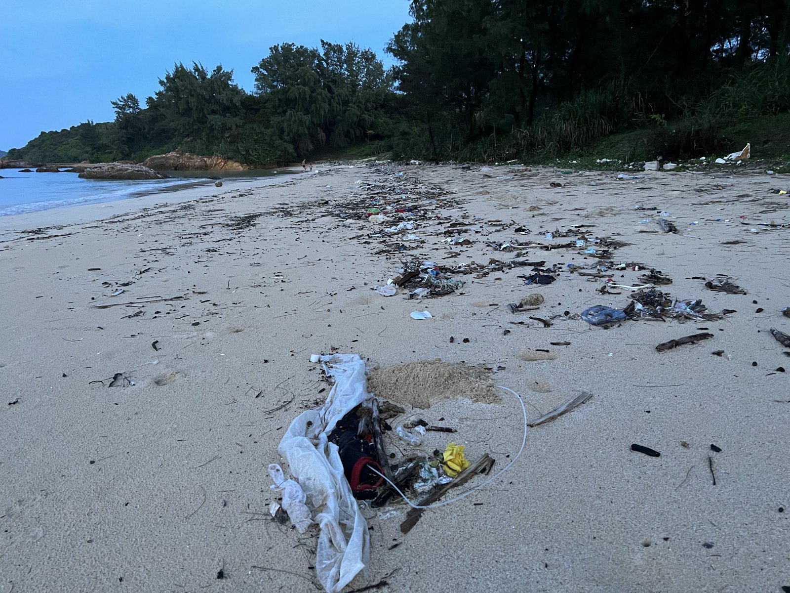 Beach covered in plastic waste and natural debris, highlighting the plastic crisis.