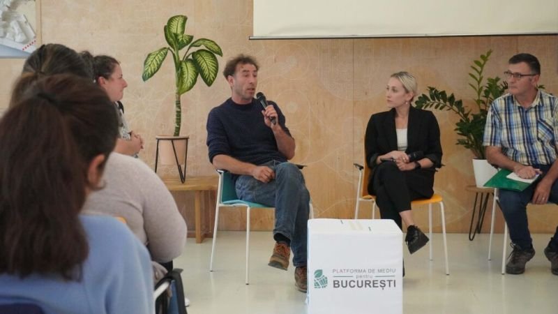 Experts discussing tree issues in Bucharest at a public debate.