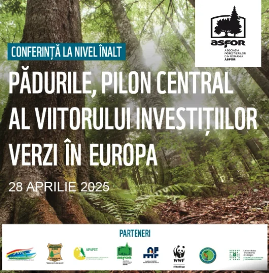 Forest with tall trees, promoting green investments in Europe, April 28, 2025.