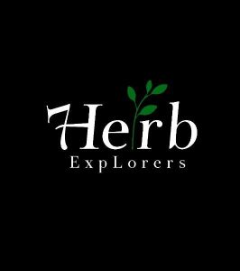 Logo eEco cu simboluri de plante și sustenabilitate pe fundal albastru.