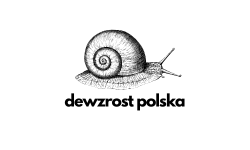 Degrowth: bridging green and just in Central and Eastern Europe, 16-19.06.26, Kraków – call (extended: 8.03.26)