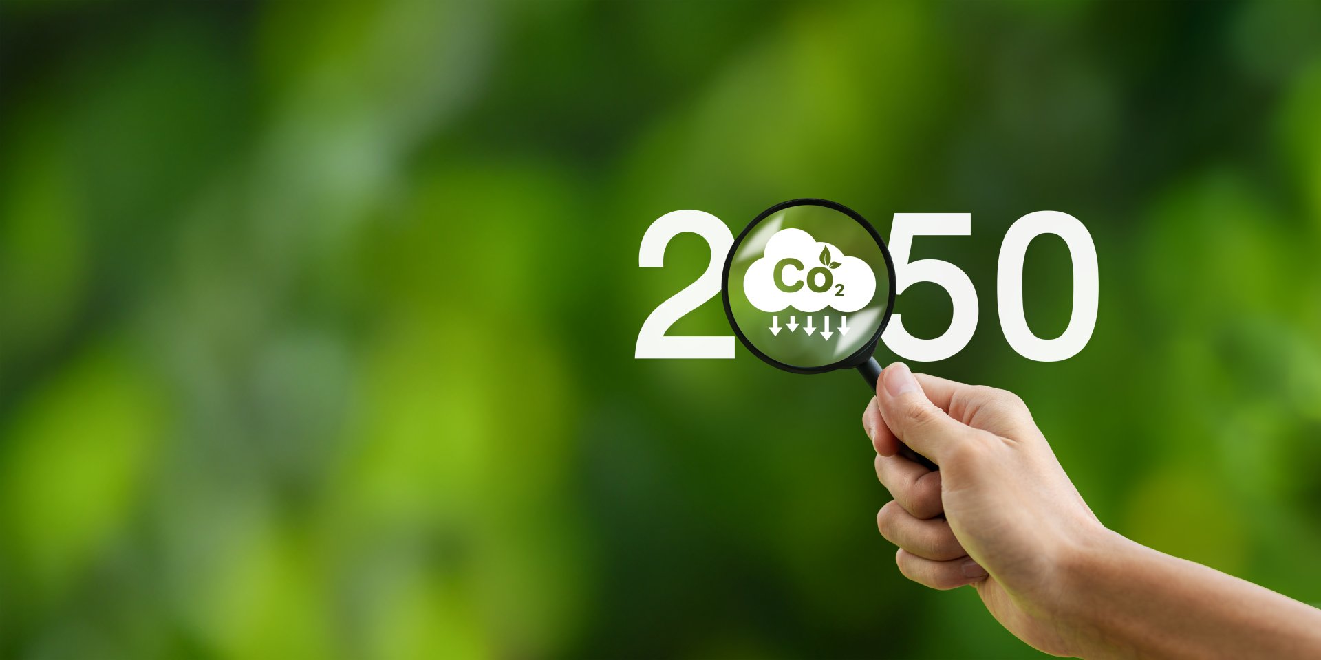 A hand holds a magnifying glass over a CO2 symbol and the year 2050, against a green background.