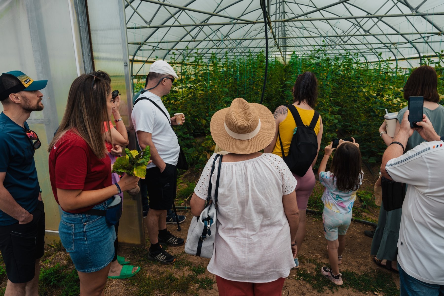 Grup de vizitatori în seră, admirând plantele ecologice și învățând despre agricultura bio.
