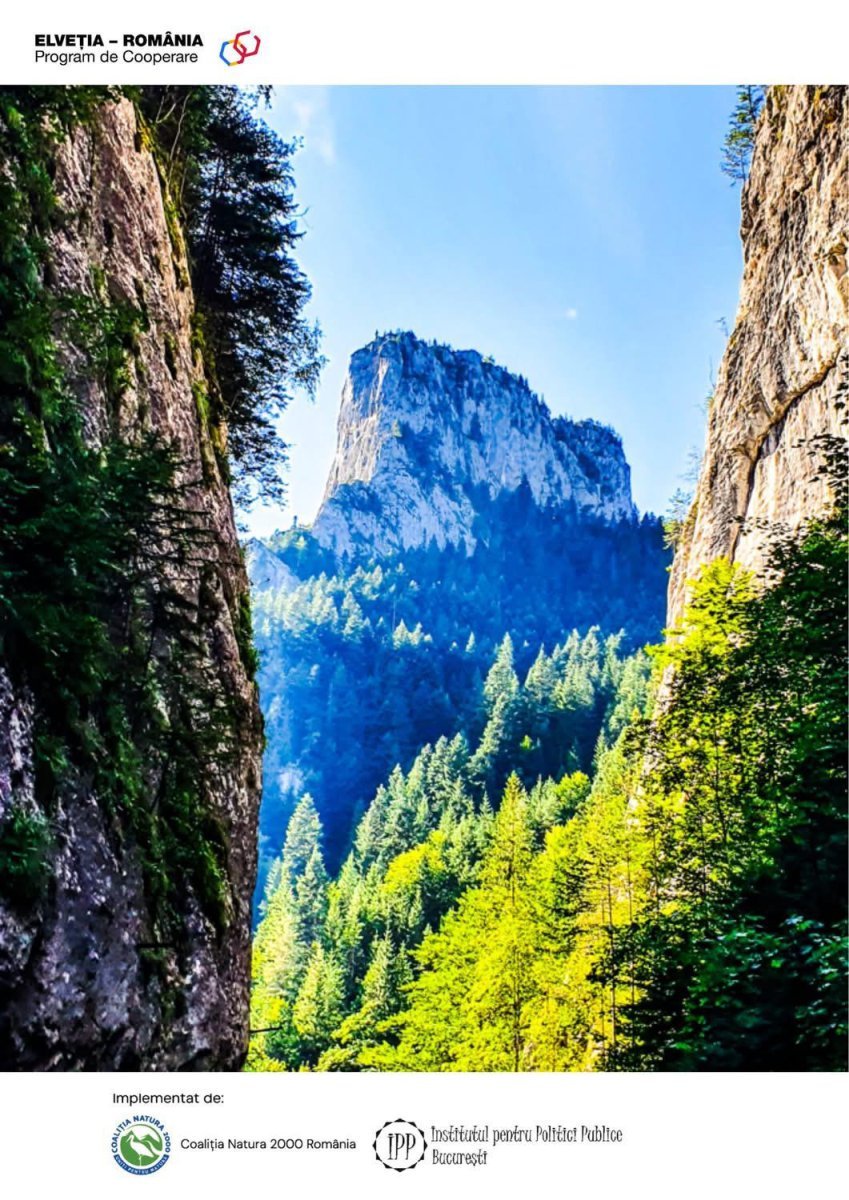 Peisaj montan cu stânci înalte și pădure verde, simbolizând natura și conservarea.