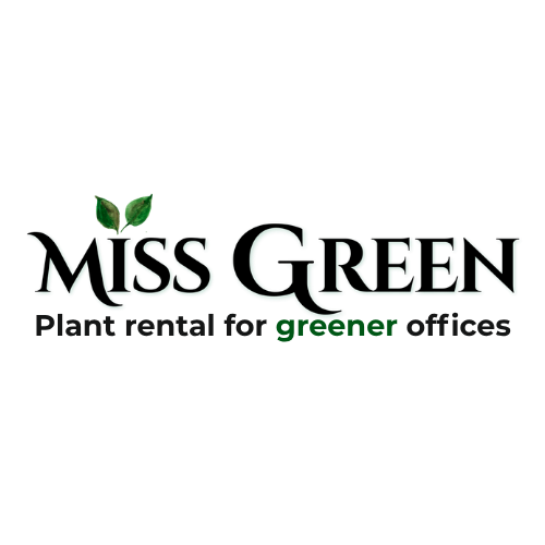 Logo-ul Miss Green, închiriere plante pentru birouri mai verzi.