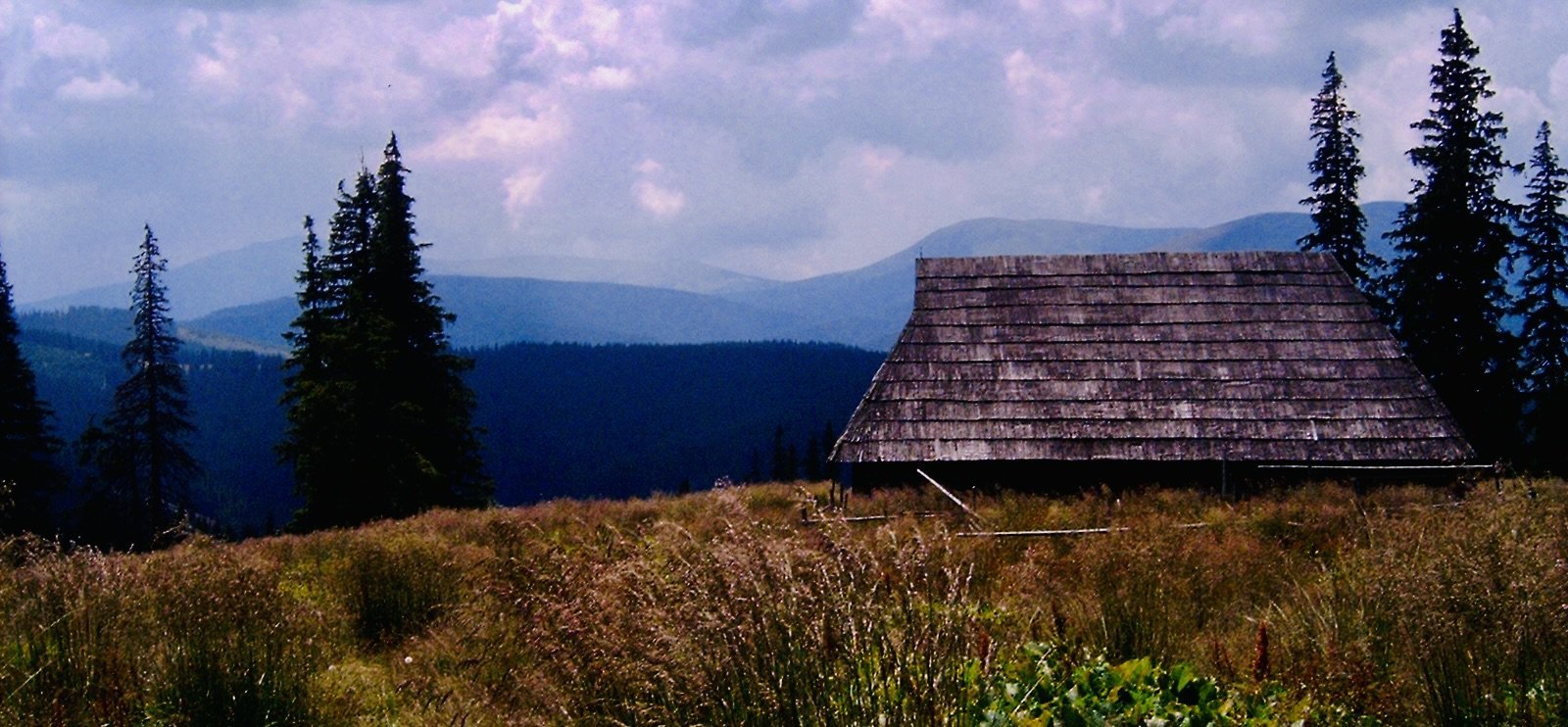 Natural landscape featuring a traditional cabin in Cugir, surrounded by forests and mountains.